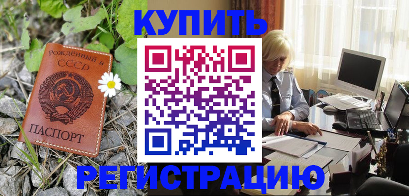 временная регистрация поиск в Полярном